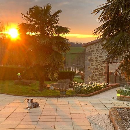 Bed and Breakfast La Basse Monniere Sevremont Zewnętrze zdjęcie