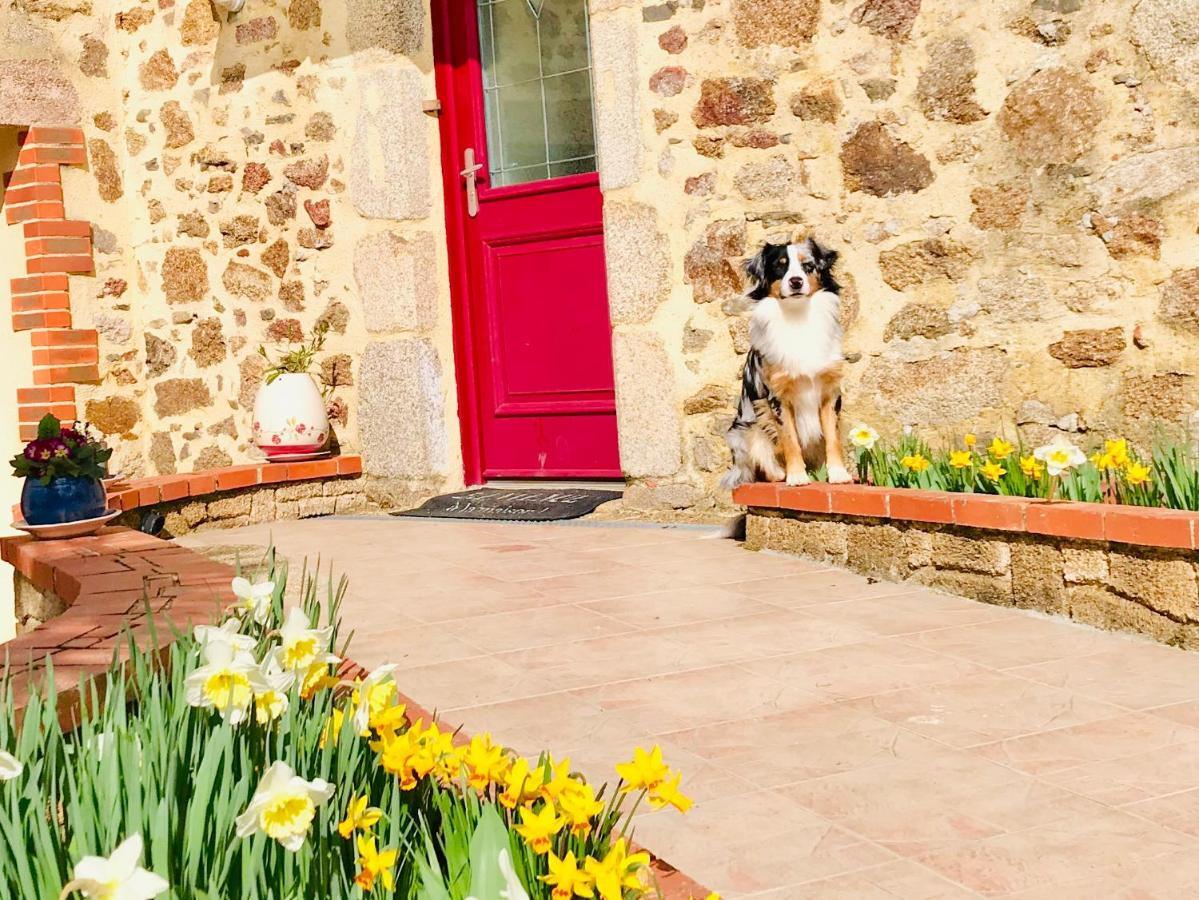 Bed and Breakfast La Basse Monniere Sevremont Zewnętrze zdjęcie